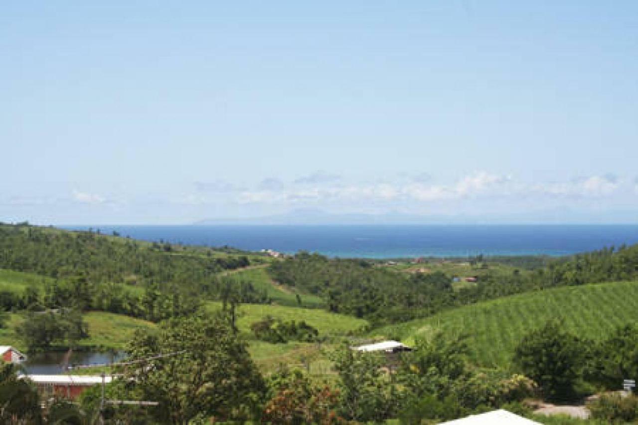 Villa Manguier Riviere-Salee Bagian luar foto