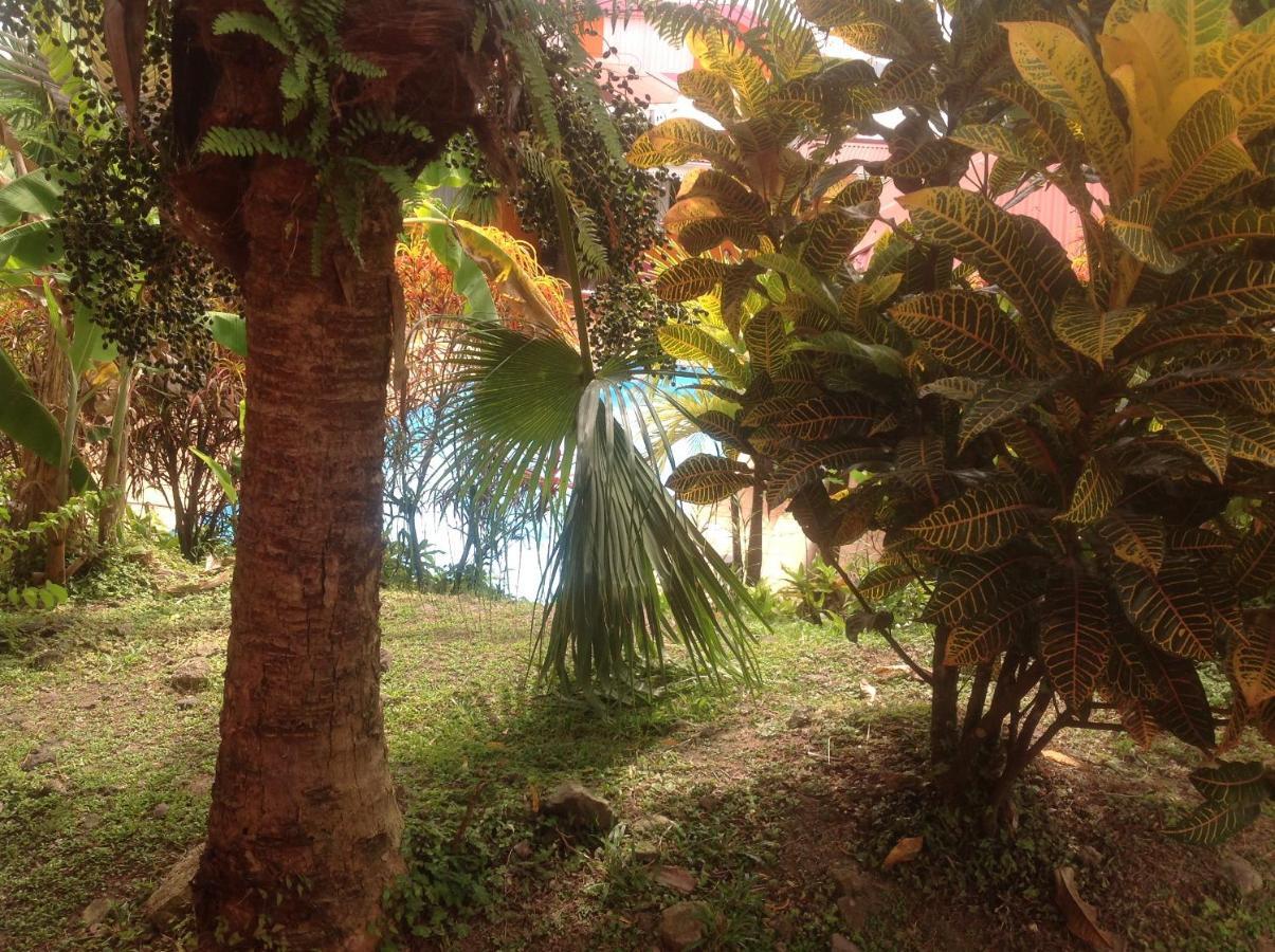 Villa Manguier Riviere-Salee Bagian luar foto